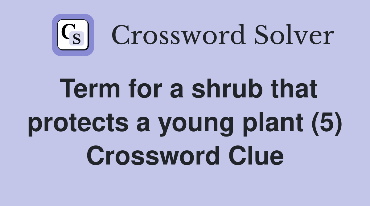 Term for a shrub that protects a young plant (5) Crossword Clue